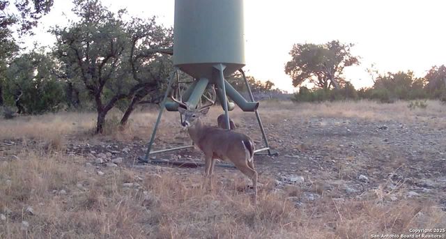 104 SD 14070, Rocksprings, TX 78880