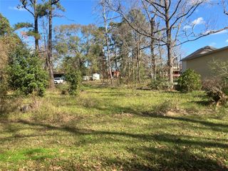 171 Cherry Tree, Livingston, TX 77351