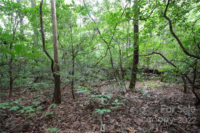 Lot 11 Upper Whitewater Road 11, Sapphire, NC 28774