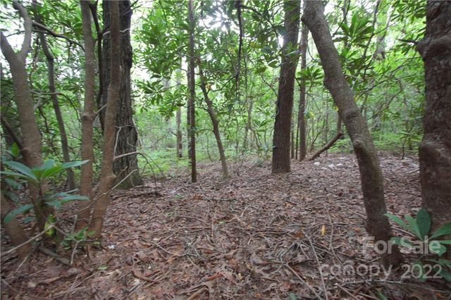 Lot 11 Upper Whitewater Road 11, Sapphire, NC 28774