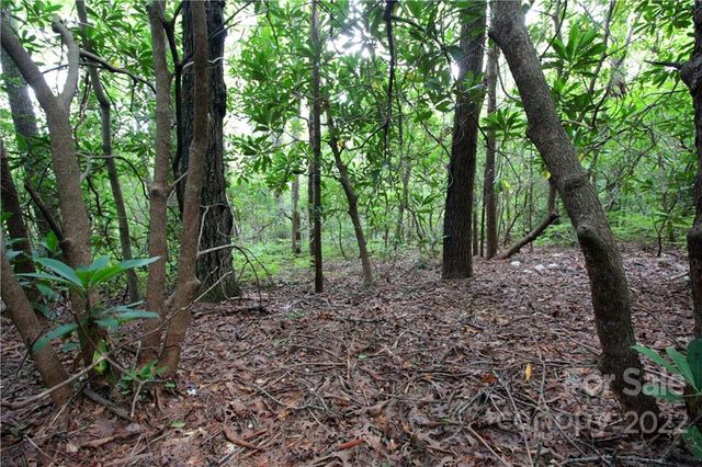 Lot 11 Upper Whitewater Road 11, Sapphire, NC 28774