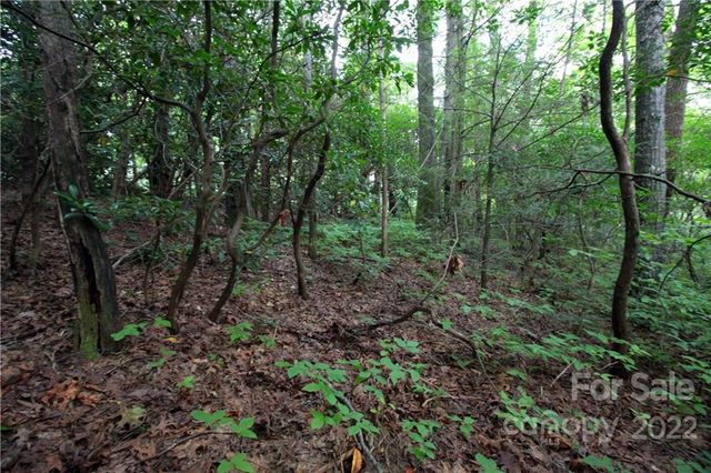 Lot 11 Upper Whitewater Road 11, Sapphire, NC 28774
