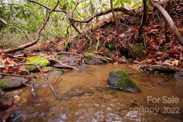 Lot 11 Upper Whitewater Road 11, Sapphire, NC 28774