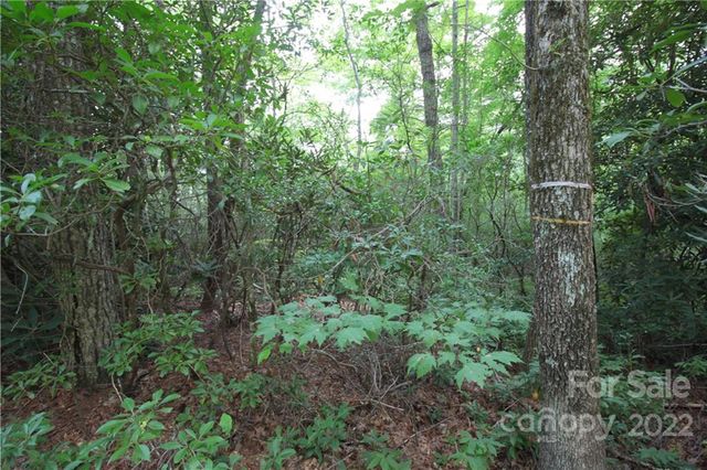 Lot 11 Upper Whitewater Road 11, Sapphire, NC 28774