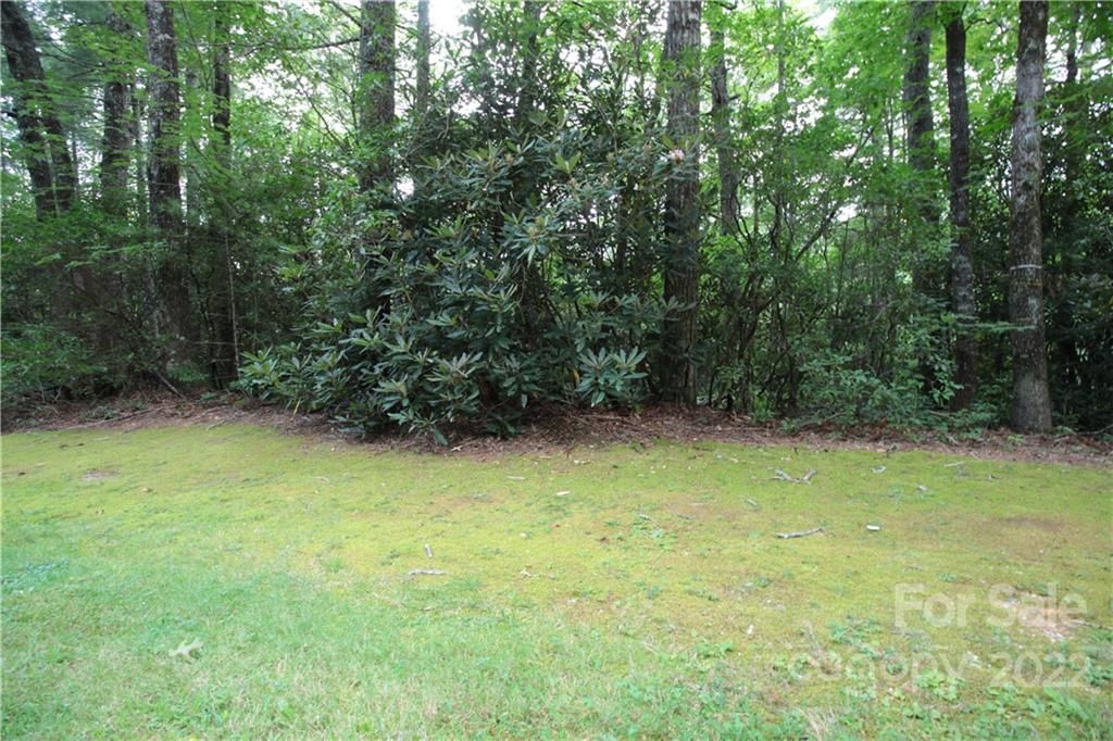 Lot 11 Upper Whitewater Road 11, Sapphire, NC 28774