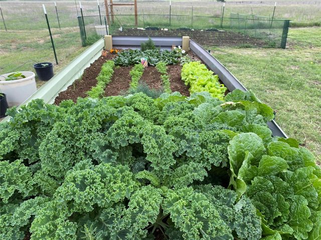 3083 HWY 138, Florence, TX 76527