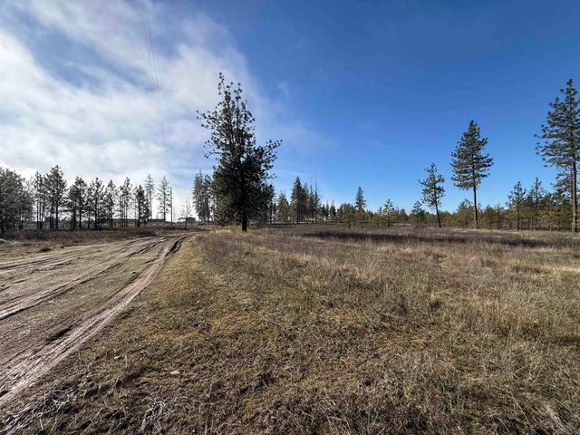 7552 Kimberly Drive Way, Ford, WA 99013