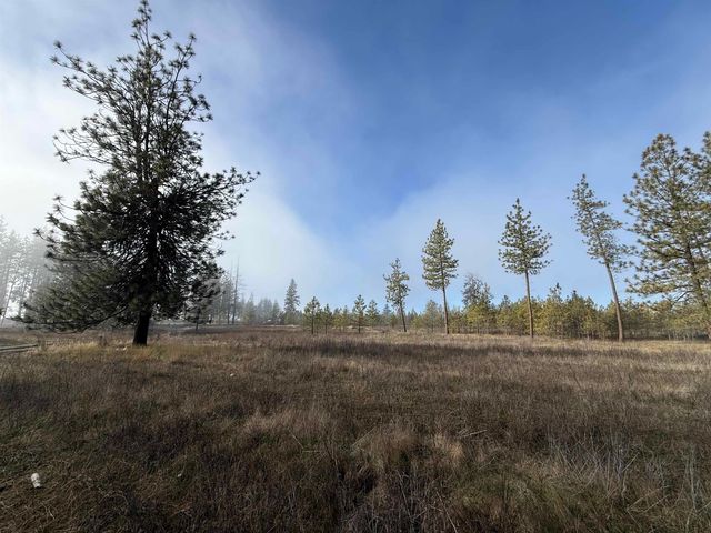 7552 Kimberly Drive Way, Ford, WA 99013