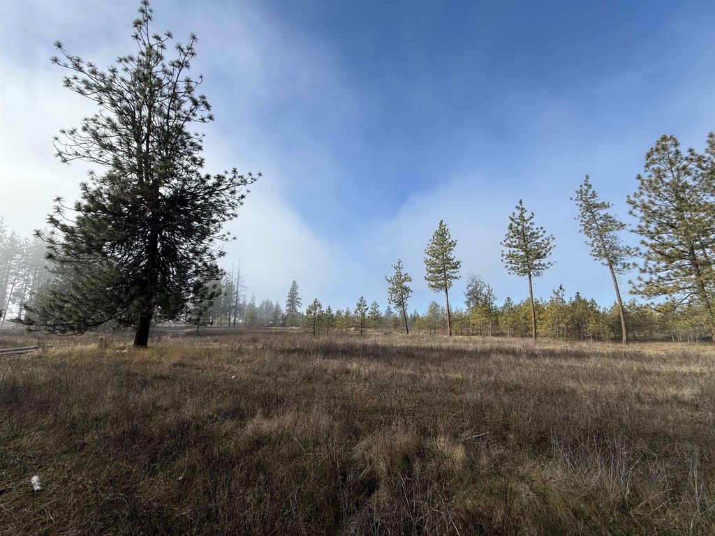 7552 Kimberly Drive Way, Ford, WA 99013 photo 4