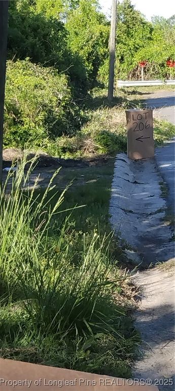 Weiss Avenue, Fayetteville, NC 28305 — photo 7