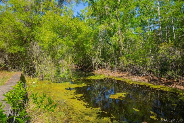 7536 S Bobcat Point, Floral City, FL 34436