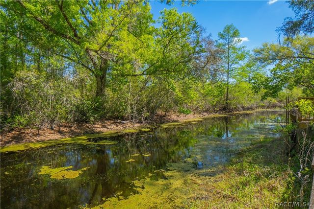 7536 S Bobcat Point, Floral City, FL 34436