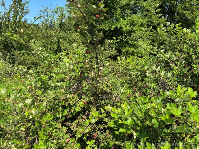 758 S Buffalo Road, Mcalester, OK 74501