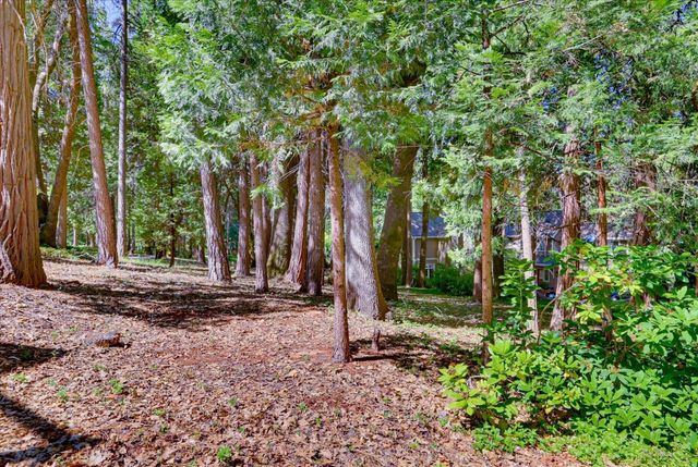 11010 Success Cross Rd, Nevada City, CA 95959