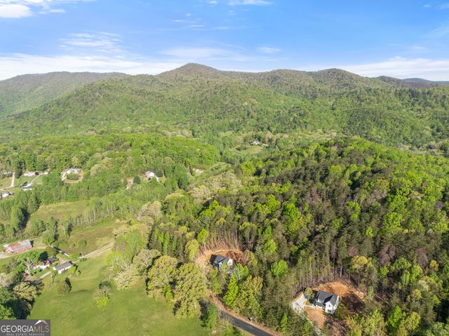62 Chestatee Drive, Cleveland, GA 30528