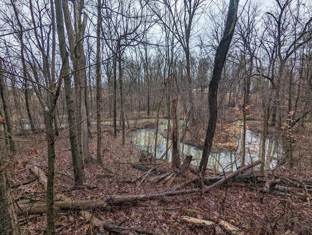 2785 Musser Road NE, Baltimore, OH 43105