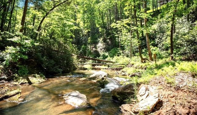 106 Nimblewill Overlook, Dahlonega, GA 30533