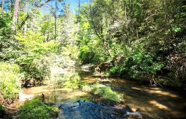 106 Nimblewill Overlook, Dahlonega, GA 30533
