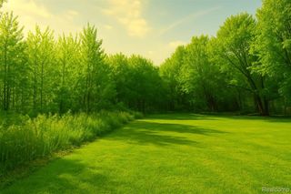 10.6 Acres Faul Faulkner Drive, Davison, MI 48423