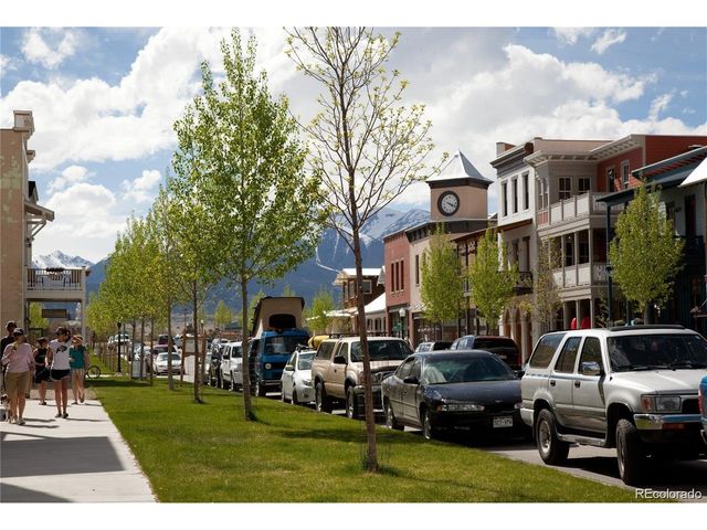 1025 River Park Rd, Buena Vista, CO 81211