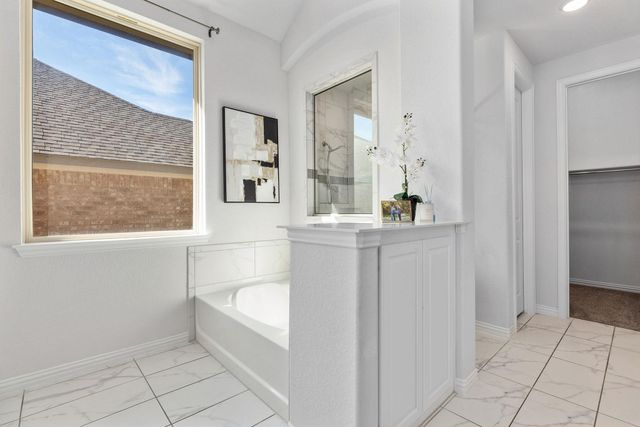 3537 De Soto LOOP, Round Rock, TX 78665