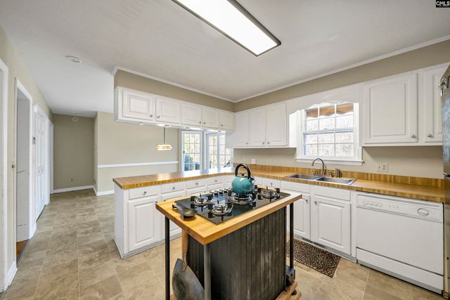 1 Chowning Place, Lexington, SC 29072