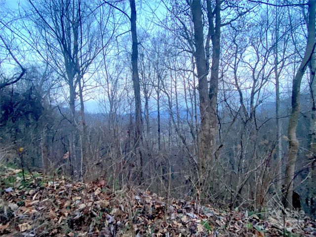 0 Asa Trail, Waynesville, NC 28785