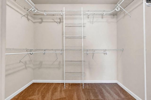 504 Finnegan Lane, West Columbia, SC 29169