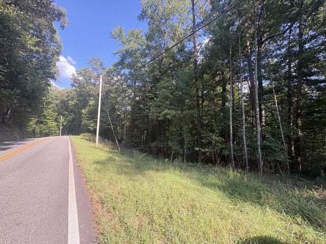 000 Macedonia Church Road, Blue Ridge, GA 30513