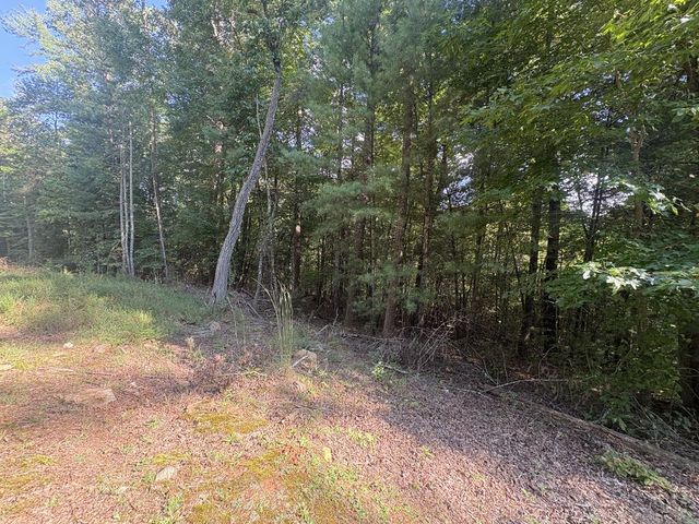 000 Macedonia Church Road, Blue Ridge, GA 30513