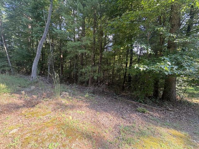 000 Macedonia Church Road, Blue Ridge, GA 30513