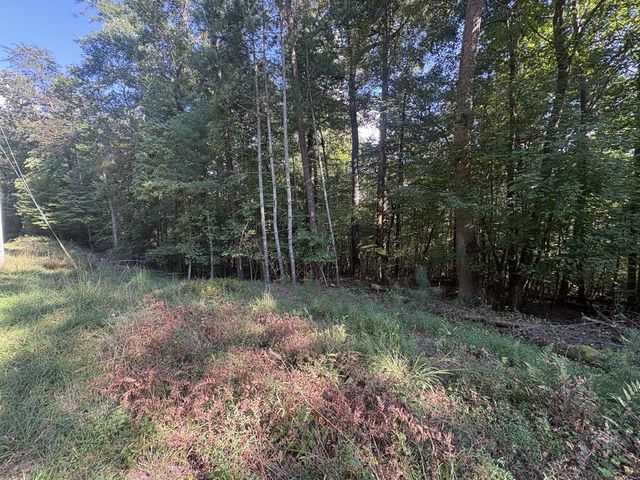 000 Macedonia Church Road, Blue Ridge, GA 30513