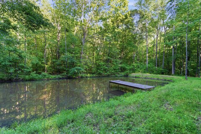 450 Paul Thompson Rd, Bethpage, TN 37022