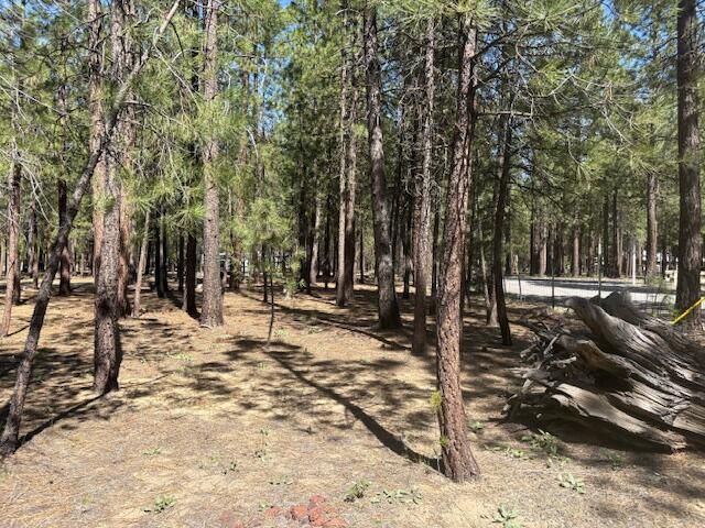52105 Ponderosa Way, La Pine, OR 97739