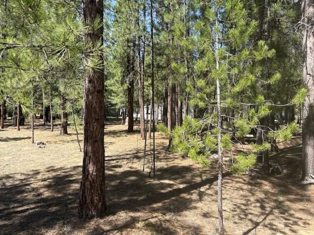 52105 Ponderosa Way, La Pine, OR 97739