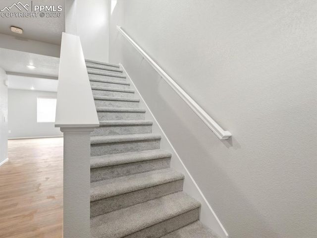 11403 Pikeminnow Place, Colorado Springs, CO 80925