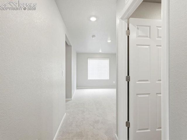 11403 Pikeminnow Place, Colorado Springs, CO 80925