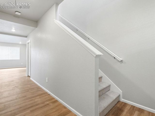 11403 Pikeminnow Place, Colorado Springs, CO 80925