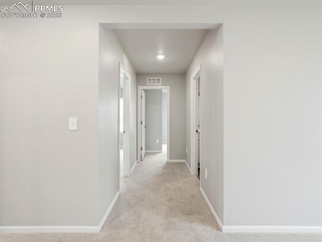 11403 Pikeminnow Place, Colorado Springs, CO 80925