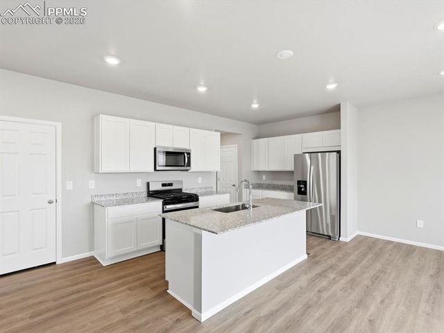 11403 Pikeminnow Place, Colorado Springs, CO 80925