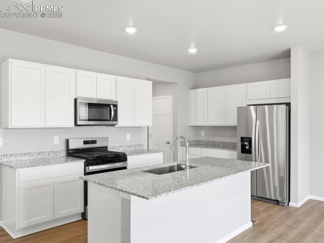 11403 Pikeminnow Place, Colorado Springs, CO 80925