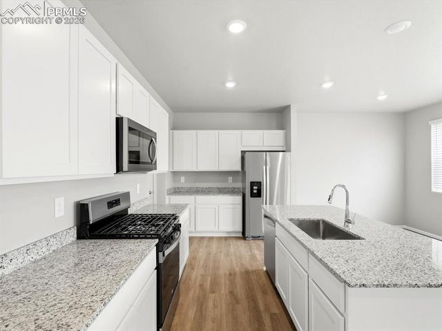 11403 Pikeminnow Place, Colorado Springs, CO 80925