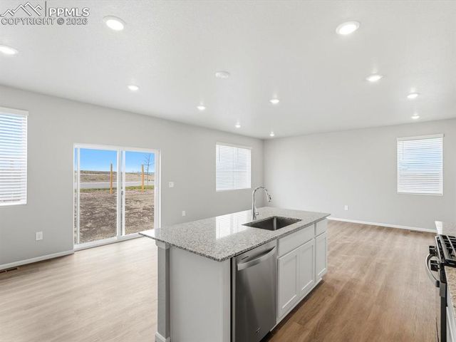 11403 Pikeminnow Place, Colorado Springs, CO 80925