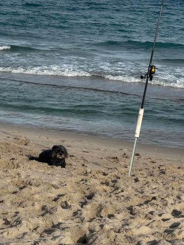 1041 Hillsboro Mile 18, Hillsboro Beach, FL 33062