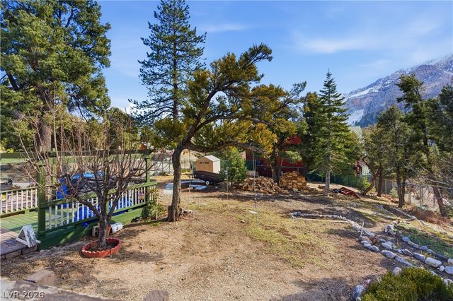 239 Crestview Drive, Mount Charleston, NV 89124