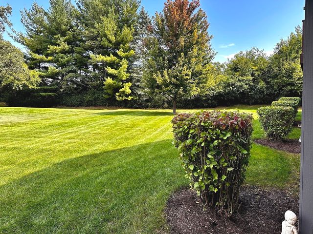 1104 Yorkshire Court Unit-B, Elgin, IL 60120