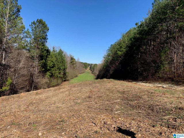 2 MOUNTAINSIDE DRIVE, West Blocton, AL 35184