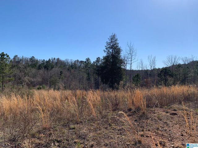 2 MOUNTAINSIDE DRIVE, West Blocton, AL 35184