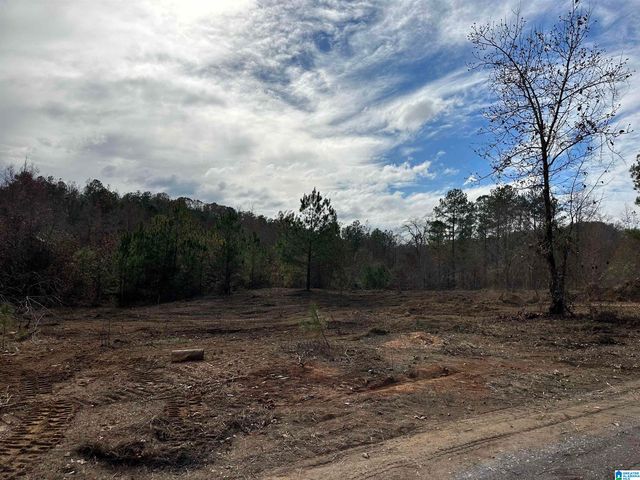 2 MOUNTAINSIDE DRIVE, West Blocton, AL 35184