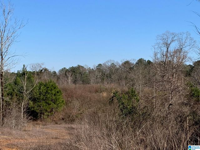 2 MOUNTAINSIDE DRIVE, West Blocton, AL 35184